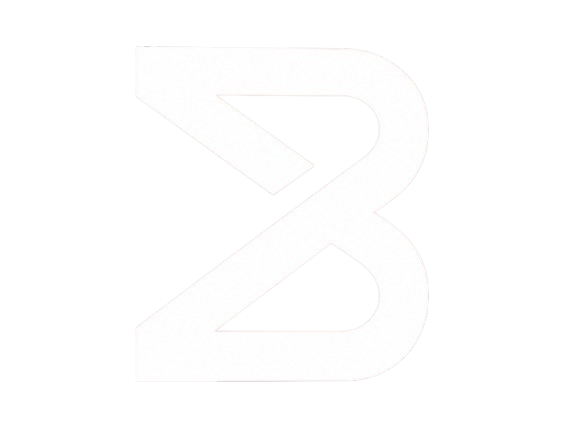 Binary Holdings